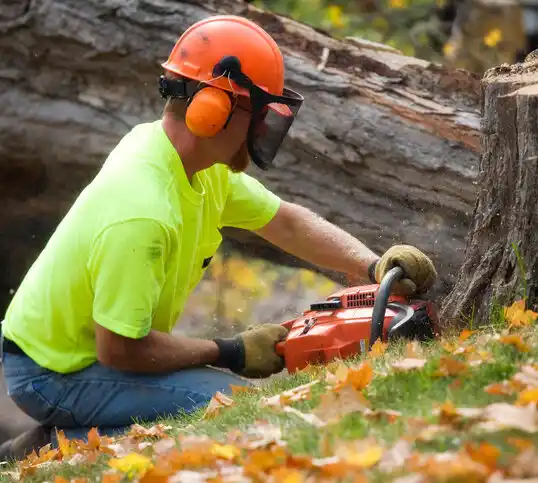 tree services Maryville